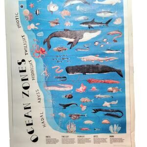 The Layers Ocean Zones Canvas Print Poster – 12x18" Unframed, Marine Educational